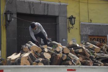 Cabildo de Puebla analiza endurecer multas por tala ilegal de &aacute;rboles