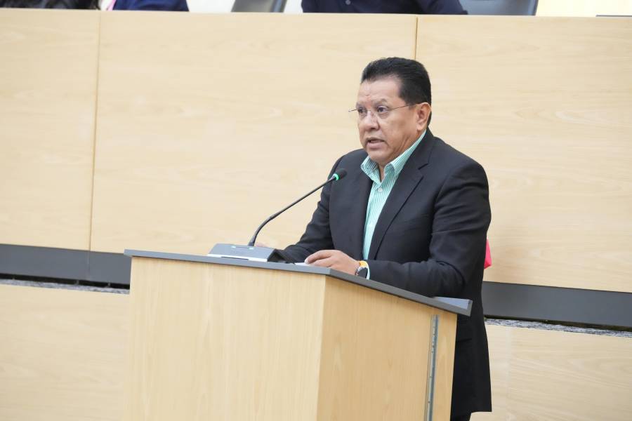 Diputado Miguel M&aacute;rquez impulsa iniciativa para la atenci&oacute;n a la salud mental de las mujeres durante el embarazo y despu&eacute;s del parto