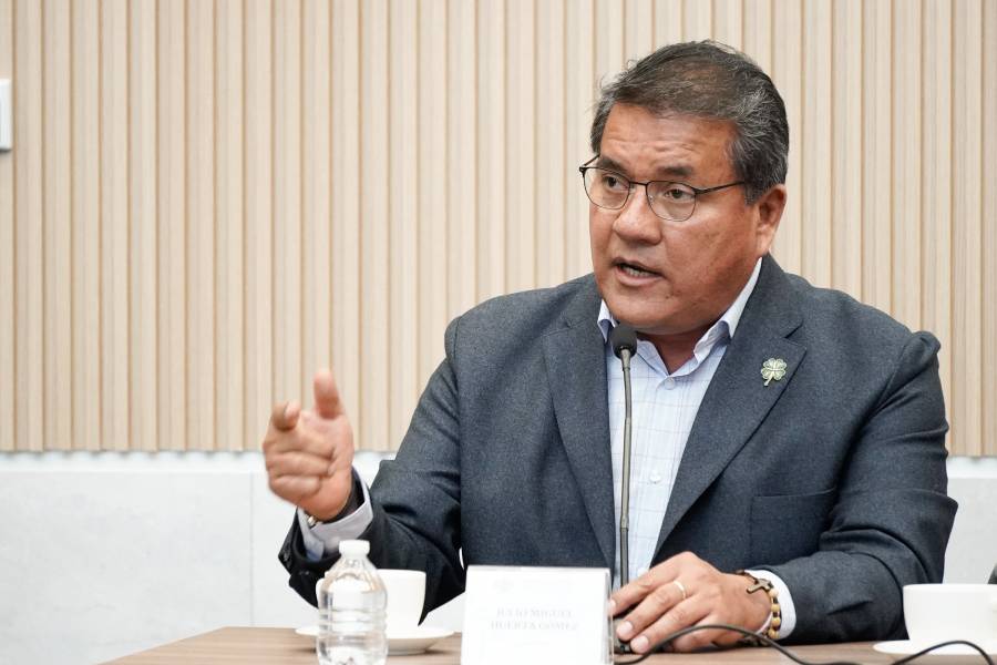 Diputado de Morena pide que el Estado asuma la seguridad en Acatl&aacute;n de Osorio