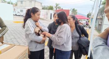 Atlixco impulsa bienestar animal; Ariadna Ayala promueve jornada de esterilizaci&oacute;n