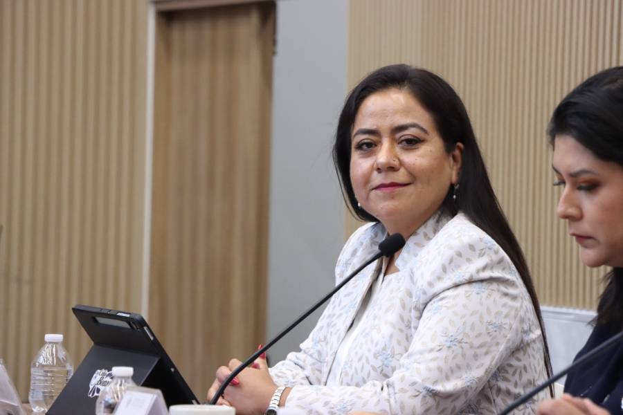 Diputada Celia Bonaga impulsa iniciativa para fortalecer la protecci&oacute;n y acompa&ntilde;amiento de ni&ntilde;as y ni&ntilde;os bajo resguardo institucional