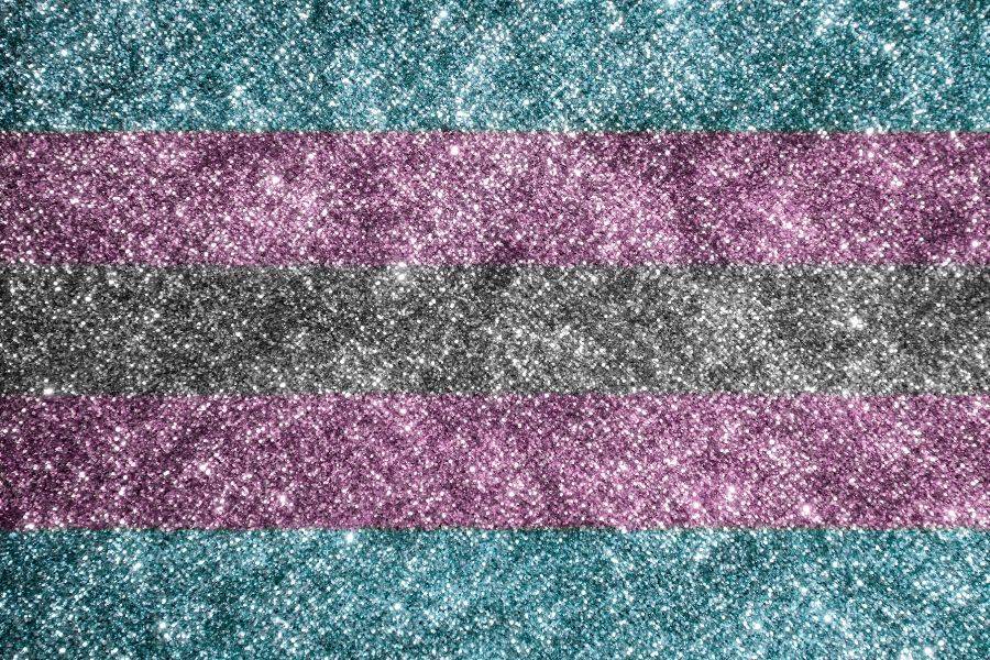 SCJN exige al Congreso de Puebla definir ruta para reconocer derechos de infancias trans