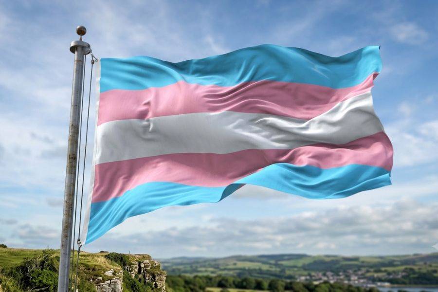 Mayor&iacute;a de Morena perfila voto contra reconocimiento de infancias trans