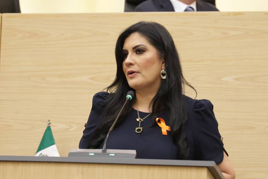 Plantea Delfina Pozos que prestadores de servicios de agua y alcantarillado asuman el costo por da&ntilde;os a la v&iacute;a p&uacute;blica