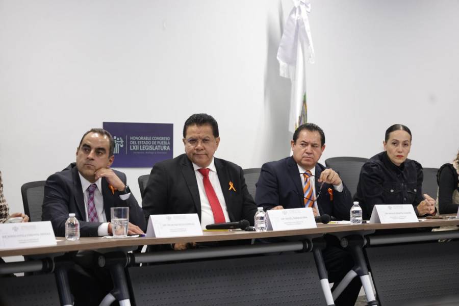Impulsa Comisi&oacute;n de Desarrollo Econ&oacute;mico acciones para mejorar atenci&oacute;n de los servicios de la CFE