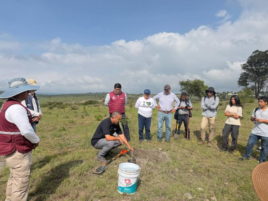 Avanza Gobierno de Pepe Chedraui en la reforestaci&oacute;n con la plantaci&oacute;n de m&aacute;s de 9 mil &aacute;rboles