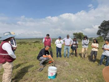 Avanza Gobierno de Pepe Chedraui en la reforestaci&oacute;n con la plantaci&oacute;n de m&aacute;s de 9 mil &aacute;rboles
