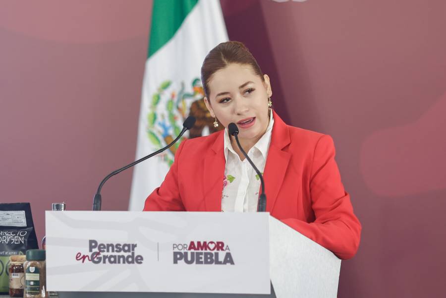 Instalar&aacute;n 254 c&aacute;maras y 934 luminarias en parques estatales de Puebla