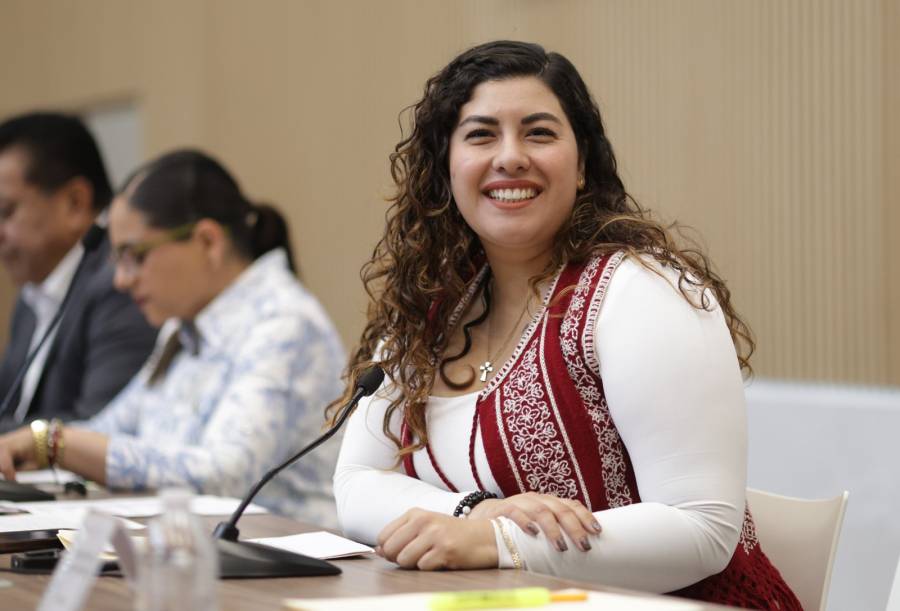 Diputada Xel Arianna Hern&aacute;ndez impulsa trabajo legislativo para fomentar el uso de tecnolog&iacute;as limpias