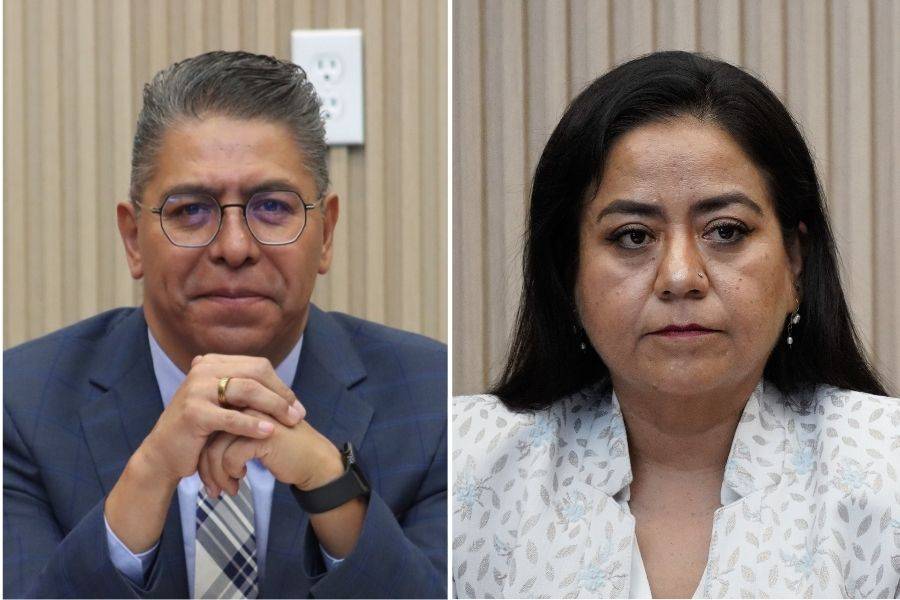 Celia Bonaga releva a Marcos Castro en coordinaci&oacute;n del PAN en el Congreso