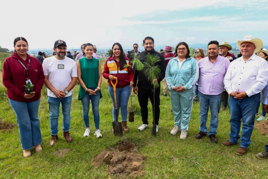Impulsa Tonantzin Fern&aacute;ndez acciones permanentes de reforestaci&oacute;n en el Cerro Zapotecas