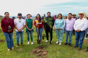 Impulsa Tonantzin Fern&aacute;ndez acciones permanentes de reforestaci&oacute;n en el Cerro Zapotecas