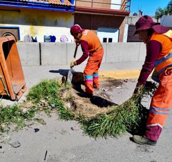 Gobierno de Pepe Chedraui realiza jornada de limpieza en puente de la Central de Abasto