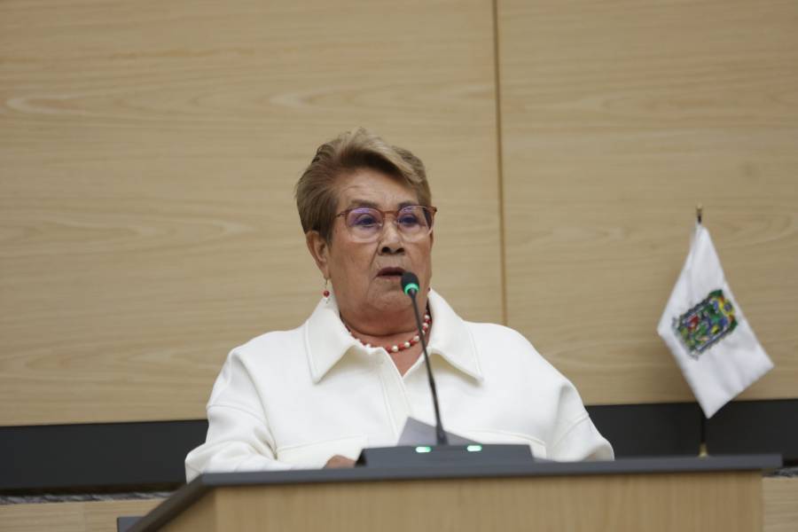 Presenta diputada Modesta Delgado punto de acuerdo para fortalecer el programa de estufas ecol&oacute;gicas en comunidades rurales