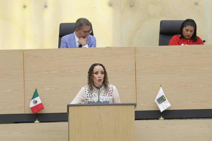 Propone diputada Susana Riestra el fortalecimiento de medidas de atenci&oacute;n para menores v&iacute;ctimas de delitos