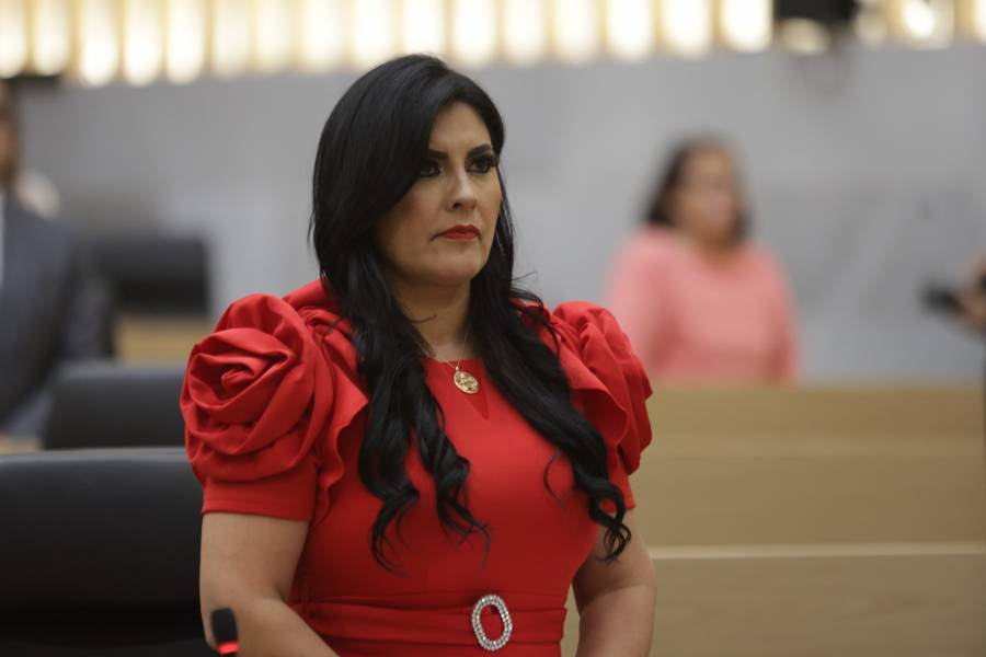 Diputada Delfina Pozos propone reformar el C&oacute;digo Penal para garantizar mayor protecci&oacute;n a v&iacute;ctimas de abuso sexual