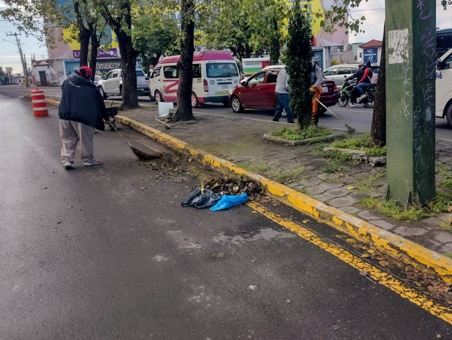 Interviene gobierno de Pepe Chedraui m&aacute;s de 16 millones de metros cuadrados de camellones