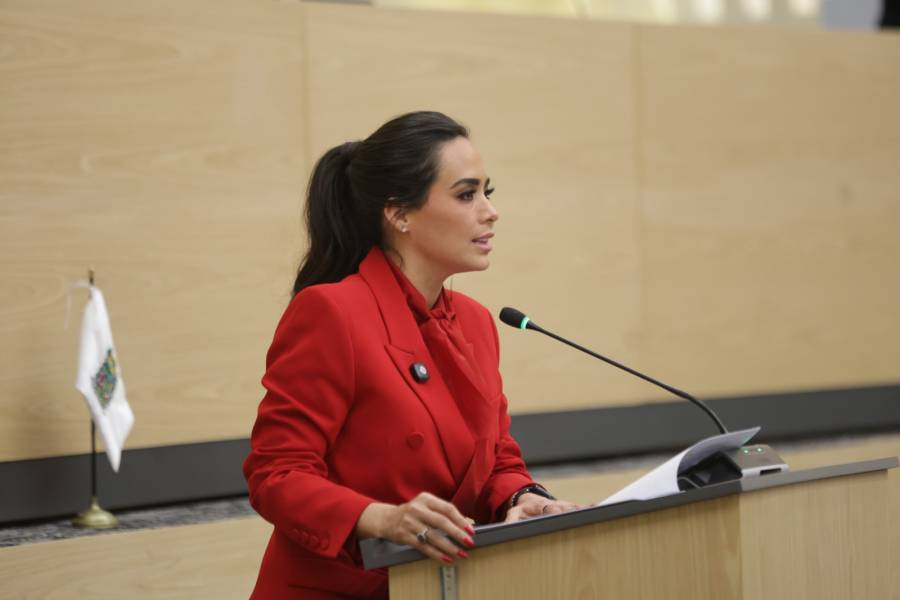 Propone diputada Elvia Graciela Palomares exhorto para reforzar operativos contra la venta de autopartes il&iacute;citas en la 46 Poniente