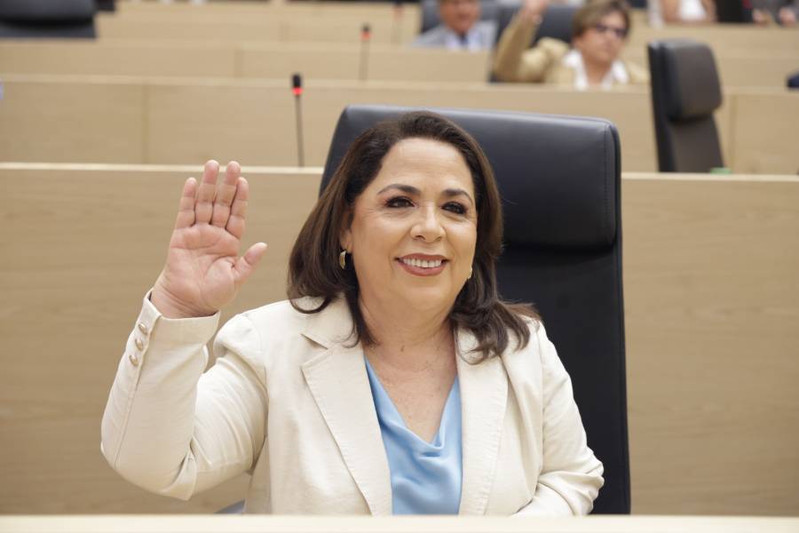 Plantea diputada Soledad Amieva la creaci&oacute;n de una Polic&iacute;a de Atenci&oacute;n Inmediata a las Mujeres y a las violencias