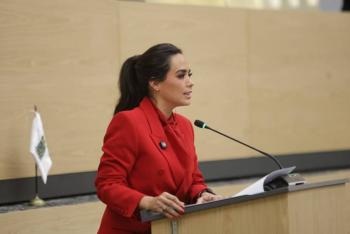 Propone diputada Elvia Graciela Palomares exhorto para reforzar operativos contra la venta de autopartes il&iacute;citas en la 46 Poniente