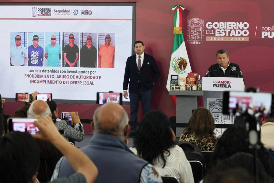 Con Inteligencia Y Estrategia, Gobierno Estatal  Desmantela Producci&oacute;n De Estupefacientes En Sierra Norte