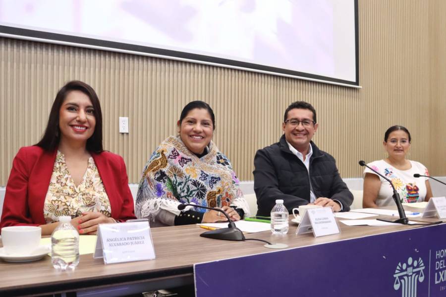 Diputada Elisa Limon fortalece acciones legislativas a favor de la transparencia y la protecci&oacute;n de los derechos laborales