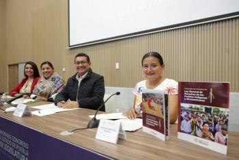 Consulta a pueblos y comunidades ind&iacute;genas es fundamental para construir una Ley acorde a sus realidades: Esther Mart&iacute;nez