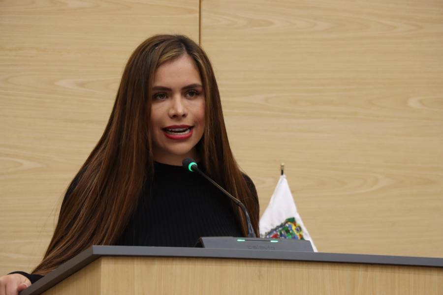 Propone la diputada Kathya S&aacute;nchez elaborar y actualizar el inventario de atractivos tur&iacute;sticos con riesgos naturales