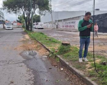 Tala de &aacute;rboles en Bosques de San Sebasti&aacute;n fue autorizada para proyecto peatonal, afirma Ayuntamiento