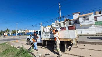 Avanza Con &Eacute;xito El Programa 