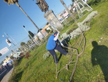 Mantiene Tonantzin Fern&aacute;ndez trabajo constante en el mejoramiento de parques y &aacute;reas verdes