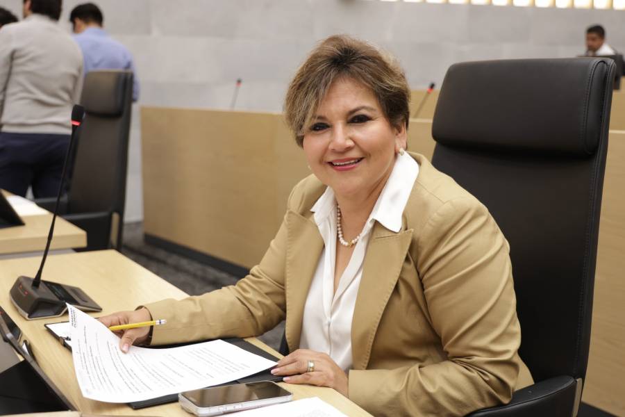 Impulsa diputada Floricel Gonz&aacute;lez iniciativa para evitar el rezago y el abandono escolar por causas f&iacute;sicas o mentales