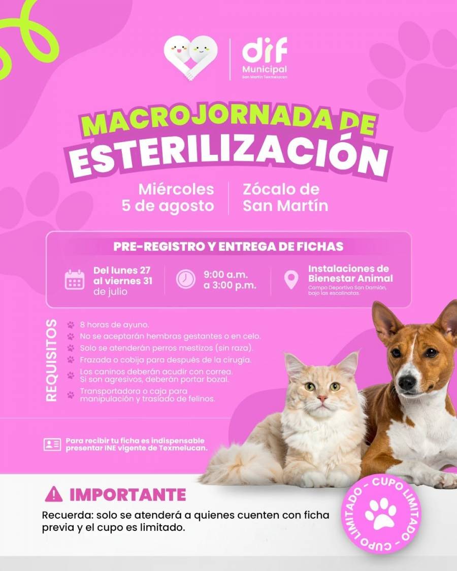 Juntos Por El Bienestar Animal: Dif Municipal De Texmelucan Anuncia Macrojornada De Esterilizaci&oacute;n