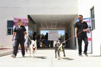 C&eacute;lula de Bienestar Animal del SEDIF materializa visi&oacute;n animalista en el estado