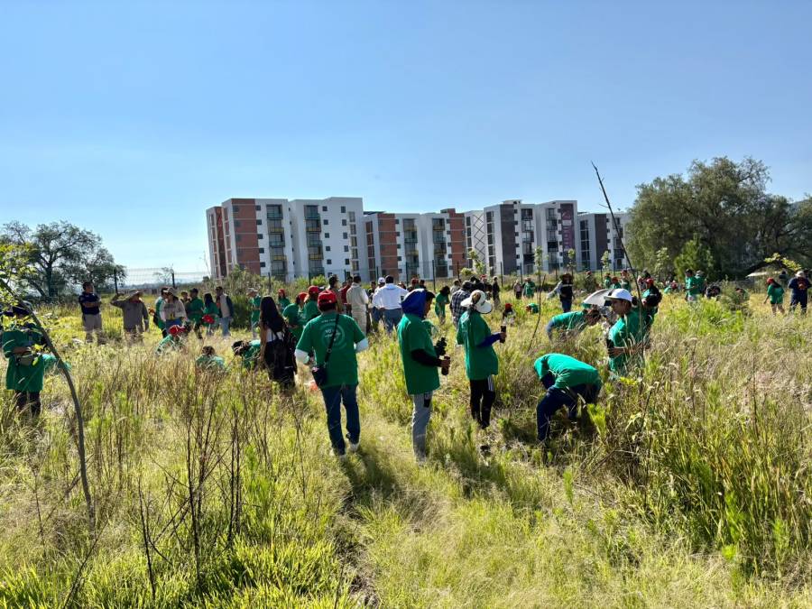 Impulsa Gobierno de Pepe Chedraui restauraci&oacute;n del Cerro de Amalucan con “Ra&iacute;ces del Futuro”