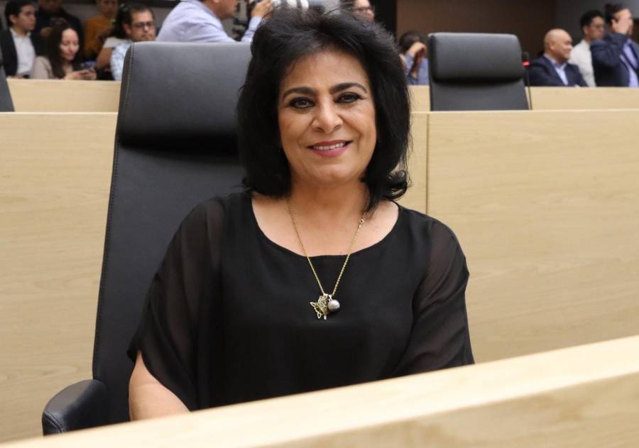 Promueve diputada Guadalupe Yamak iniciativa para reforzar la protecci&oacute;n de la ni&ntilde;ez frente a situaciones de riesgo