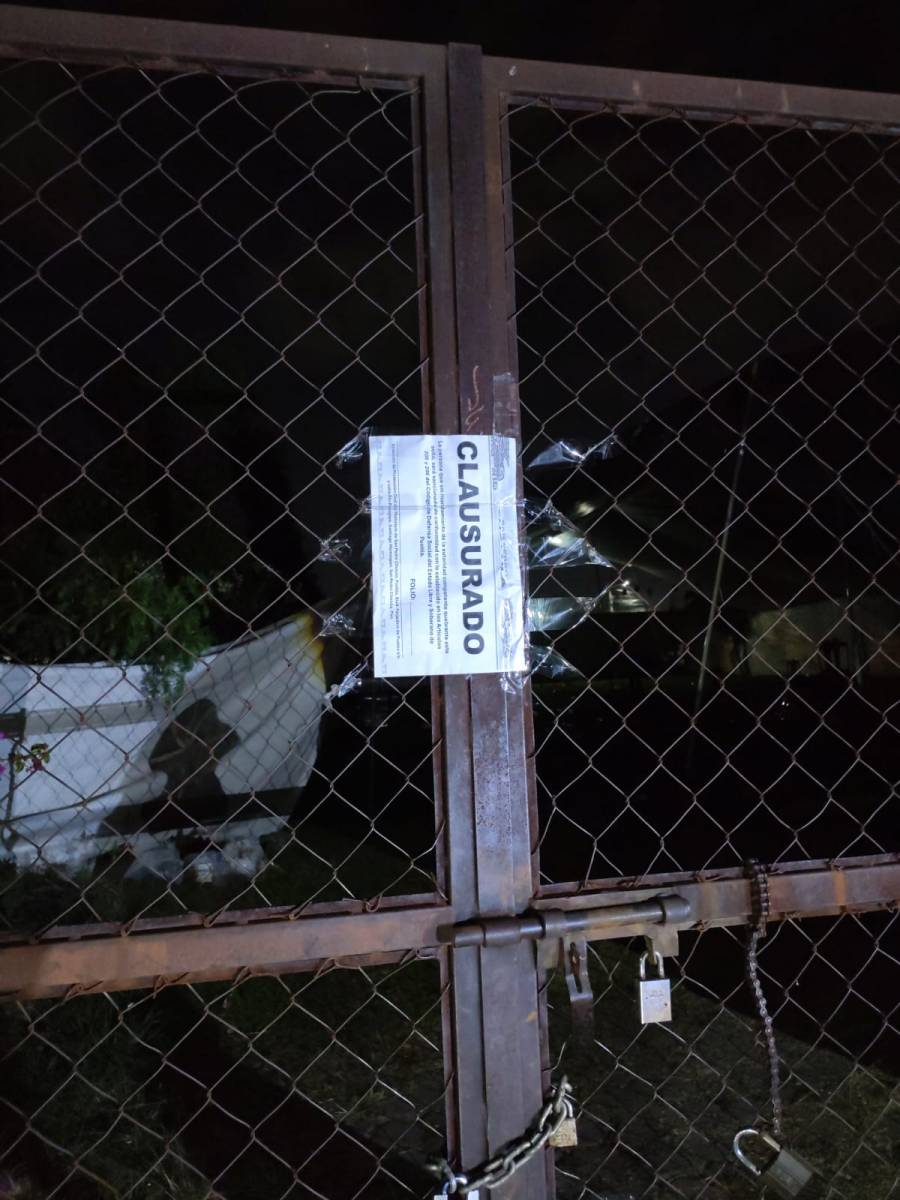 Gobierno de San Pedro Cholula cierra pelea clandestina de gallos en Santiago Momoxpan
