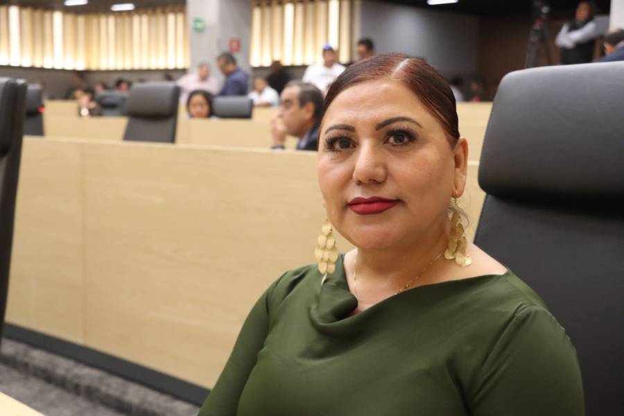 Implementar mecanismos de vinculaci&oacute;n laboral para pueblos ind&iacute;genas, propone diputada Araceli Celestino