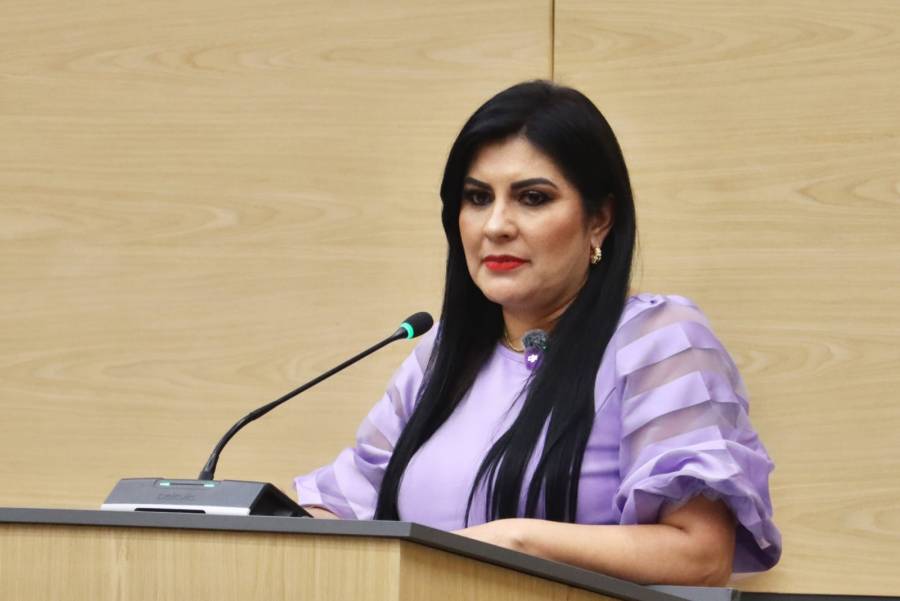 Propone diputada Delfina Pozos elaborar un Programa de Mantenimiento Preventivo de la Infraestructura de Drenaje y Alcantarillado