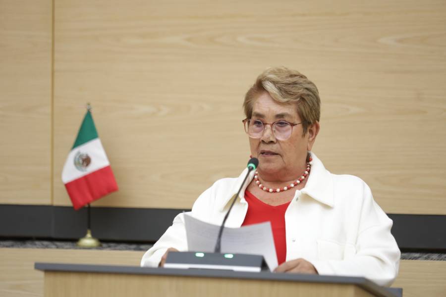 Impulsa diputada Modesta Delgado iniciativa para incorporar el principio de accesibilidad en la Ley de Desarrollo Social