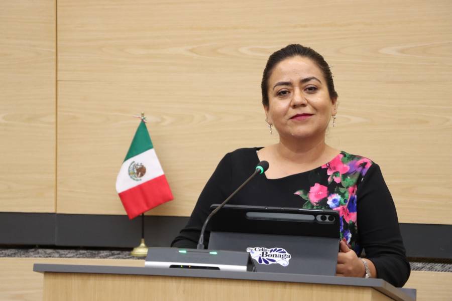 Diputada Celia Bonaga impulsa iniciativa para promover e implementar programas de captaci&oacute;n de agua pluvial