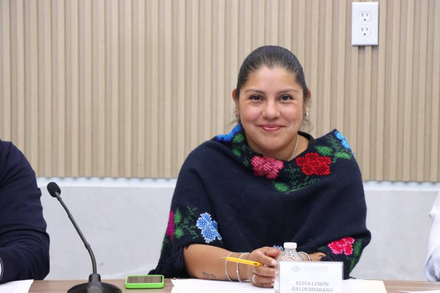 Diputada Elisa Limon anuncia inicio de asambleas informativas sobre los derechos de los pueblos ind&iacute;genas