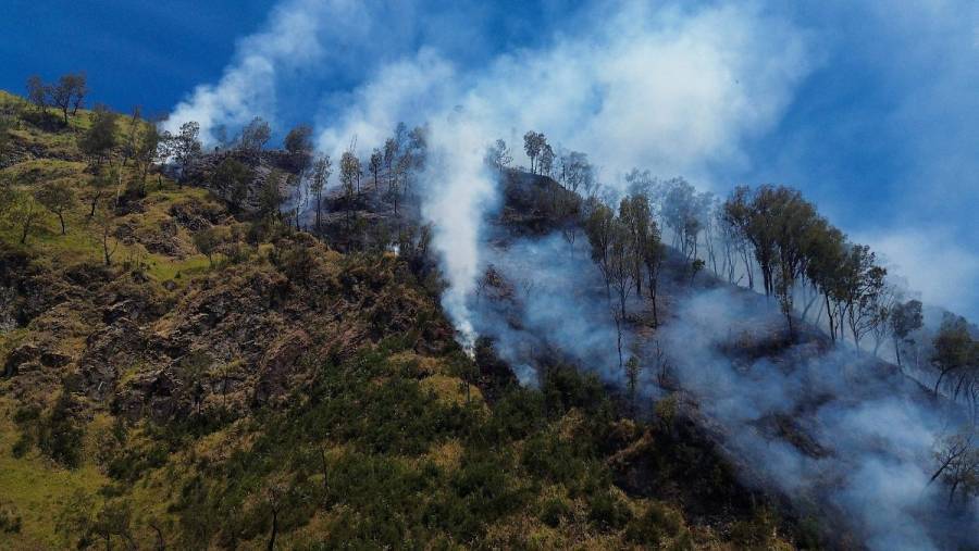 Indonesia moviliza 50 mil bomberos para contener incendios forestales agravados por El Ni&ntilde;o
