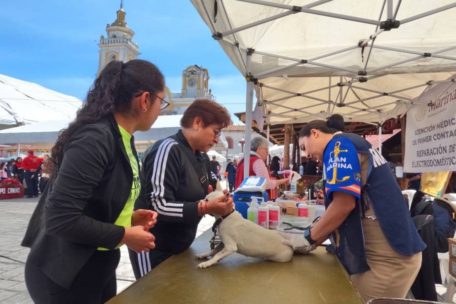 Salud, prevenci&oacute;n y proximidad social para las familias de Chignahuapan