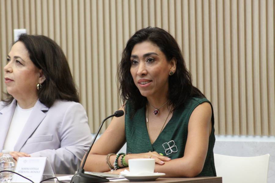 Congreso de Puebla fortalece la participaci&oacute;n de las mujeres y abre espacios para la construcci&oacute;n de una agenda de igualdad: Norma Pimentel