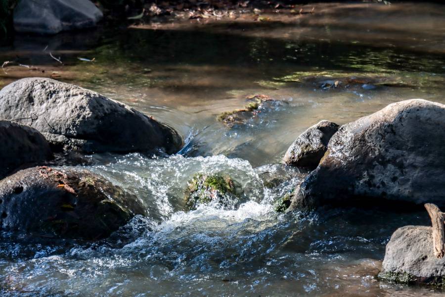 Gobierno de Puebla pedir&aacute; a Edomex intervenir por contaminaci&oacute;n del Atoyac desde un rastro