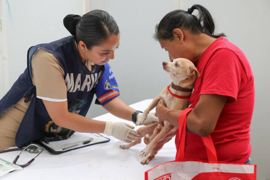 Familias de Huauchinango reciben atenci&oacute;n m&eacute;dica gratuita durante Feria de Paz