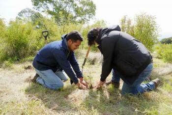 Ayuntamiento de Texmelucan planta 2 mil &aacute;rboles en el cerro Totolqueme