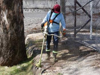 Mantiene Pepe Chedraui poda y chapeo en parques y &aacute;reas verdes