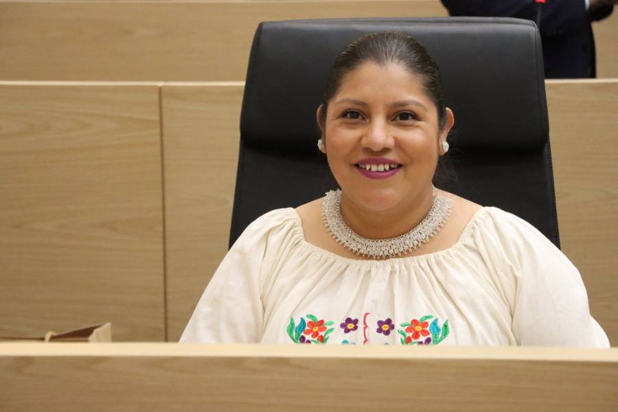 Impulsa diputada Elisa Limon iniciativa para fortalecer la protecci&oacute;n de los animales en Puebla